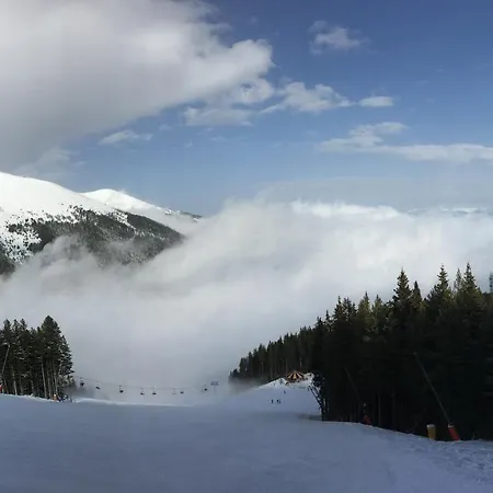 Ski *